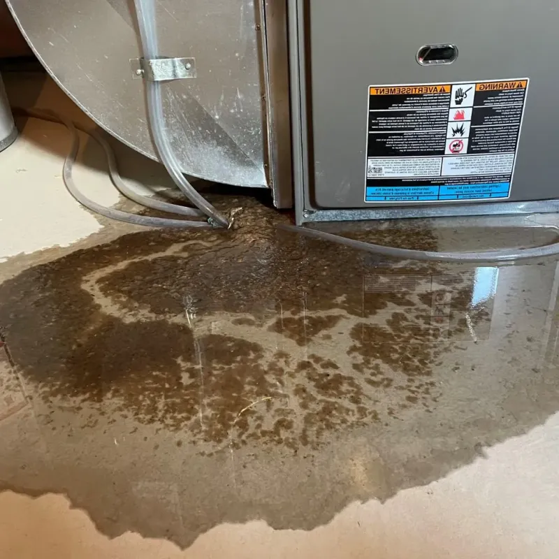 Pipe Burst and Leak Restoration in Roaring Spring, PA