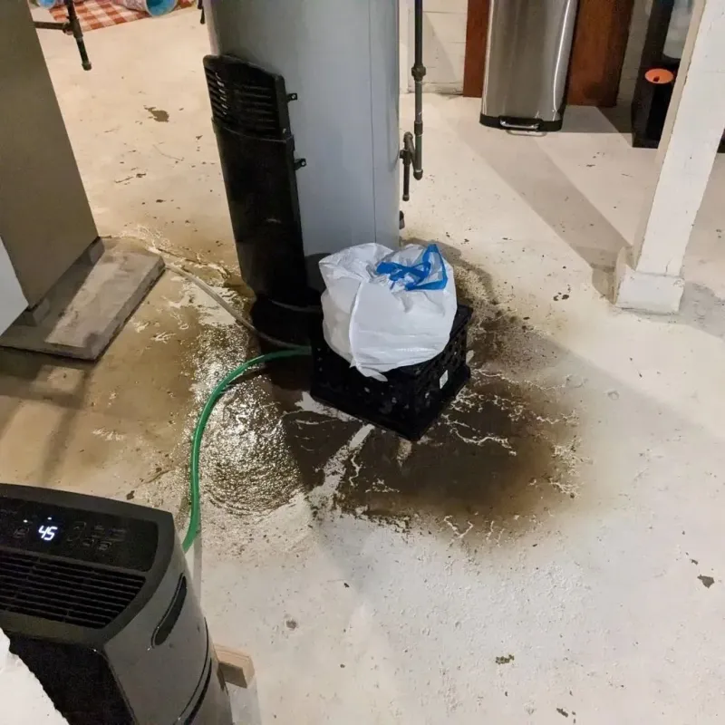 Sewage Backup Cleanup Service in Roaring Spring, PA